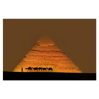 Fotografie Camel train near pyramids., Grant Faint, 40x26.7 cm