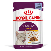 Royal Canin Sensory Taste v želé - výhodné balení: 48 × 85 g