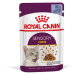 Royal Canin Sensory Taste v želé - výhodné balení: 48 × 85 g