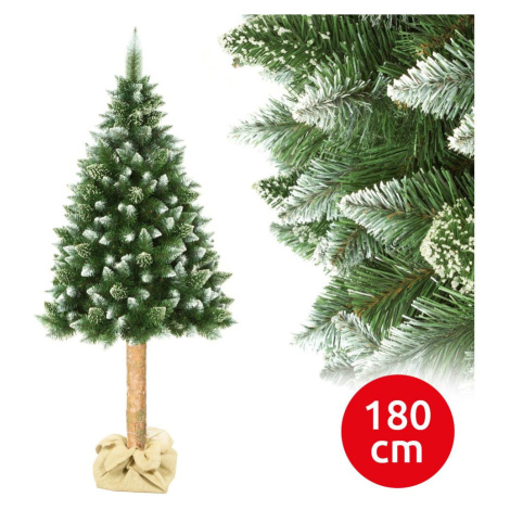 Vánoční stromek na kmenu 180 cm borovice Donoci