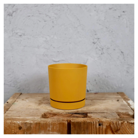 Prosperplast plastový květináč Tubo P mustard Ø 10 cm