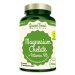 GreenFood Nutrition Magnesium Chelát 90 kapslí