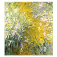 Obrazová reprodukce The Path through the Irises (1914–1917), Claude Monet, 36 × 40 cm