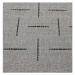 Spoltex Kusový koberec Floorlux silver/black 20008