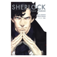 Sherlock - Ein Fall von Pink - Gatiss, Mark