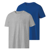 PARKSIDE® Pánské triko, 2 kusy (adult#male#ne, M (48/50), modrá/šedá)