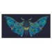 Ilustrace Abstract mystical Moth in psychedelic design., mushroomstore, 40 × 20 cm