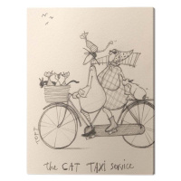 Obraz na plátně Sam Toft - The Cat Taxi Service, 2 - 30x40 cm