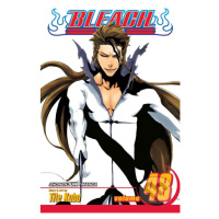 Bleach 48 - Tite Kubo - kniha z kategorie Komiksy