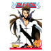 Bleach 48 - Tite Kubo - kniha z kategorie Komiksy