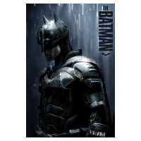 Plakát, Obraz - The Batman - Downpour, (61 x 91.5 cm)