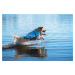 Vsepropejska Orsa plovací vesta pro psa Barva: Zelená, Délka zad (cm): 16, Obvod hrudníku: 26 - 