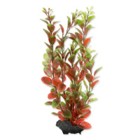 Dekorace Tetra Rostlina Red Ludwigia M 23cm