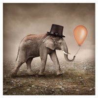 Ilustrace Elephant with a balloon, egal, 40 × 40 cm