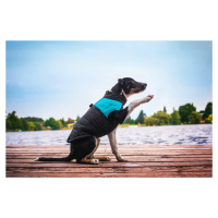 Vsepropejska Slim-rainy obleček pro psa na zip Barva: Černo-modrá, Délka zad (cm): 50, Obvod hru