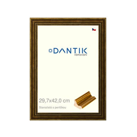 DANTIK rámeček 29,7 × 42, Starozlatý s perličkou plexi čiré