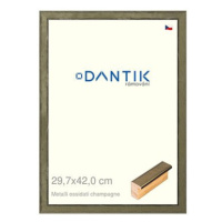 DANTIK rámeček 29,7 × 42, Metalli oidati champagne plexi čiré