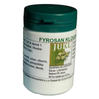 Jukl Fyrosan Klouby 90 tablet