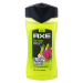 Axe Epic Fresh sprchový gel pro muže 250 ml