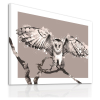 Obraz na plátně OWL B různé rozměry Ludesign ludesign obrazy: 100x70 cm