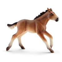 Schleich Zvířátko - hříbě Mustang