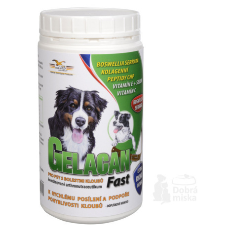 Gelacan Fast 500g