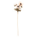 Umělá květina Anemónka krémová, 3 květy, 56 x 17 cm