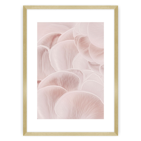 Dekoria Plakát Pastel Pink I, 30 x 40 cm, Zvolit rámek: Zlatý