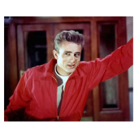 Fotografie Rebel Without A Cause directed by Nicholas Ray, 1955, 40 × 30 cm