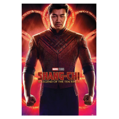 Plakát Shang-Chi and the Legend of the Ten Rings - Flex (263) Europosters