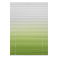 Lichtblick Roleta, od 45 x 130 cm (90 x 130 cm, zelená/bílá)