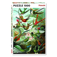 Piatnik 1000 d. Haeckel - Kolibris