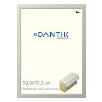 DANTIK rámeček 50 × 70, WOODLINE bílý prodřený plexi čiré