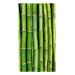 Impar Osuška Bambus, 70 × 140 cm