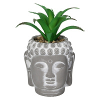 Dekoria Dekorace Aloe Buddha 17cm, 10 x 10 0x 17 cm