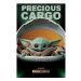 Star Wars The Mandalorian Precious Cargo Young Yoda