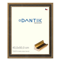 DANTIK rámeček 40 × 50, TOOTH malý zlato černý plexi čiré