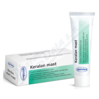 Keralan mast 50g