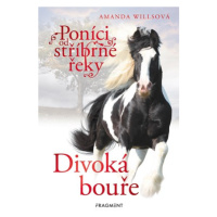 Poníci od stříbrné řeky – Divoká bouře | Romana Neumanová, Amanda Willsová