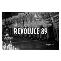 Revoluce 89