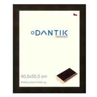 DANTIK rámeček 40 × 50, Artdeco kosý hnědý AG sklo čiré