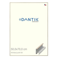 DANTIK rámeček 50 × 70, ALU profil 6030 Dýha slovnový kost plexi čiré