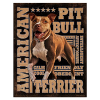 Plechová cedule American Pitbull, 31.5 × 40 cm