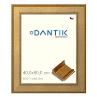 DANTIK rámeček 40 × 50, TOOTH zlatý plexi čiré