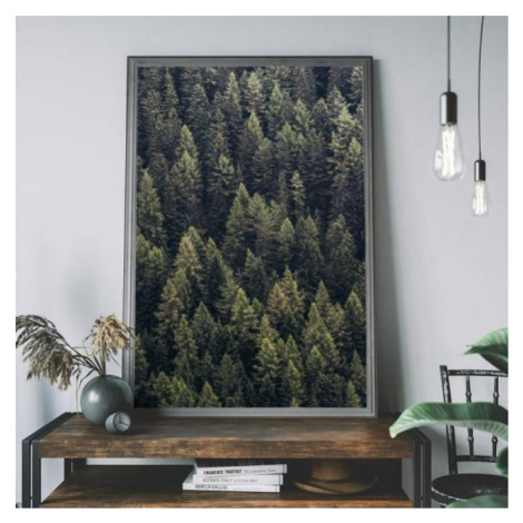 Přírodní plakát s motivem lesa