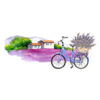 Ilustrace Lavender flowers, bicycle with bouquet in, zzorik, 40 × 22.2 cm