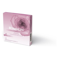 ROSALGIN 500MG VAG GRA SOL 6