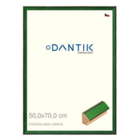 DANTIK rámeček 50 × 70, INCLINATA colori zelený plexi čiré