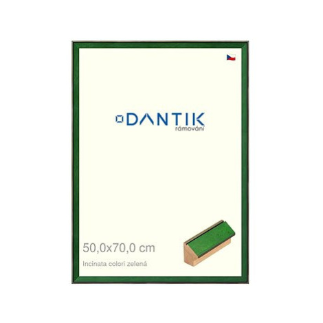 DANTIK rámeček 50 × 70, INCLINATA colori zelený plexi čiré