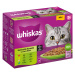 Megapack Whiskas Senior kapsičky 24 x 85 g - 7+ smíšený výběr v omáčce